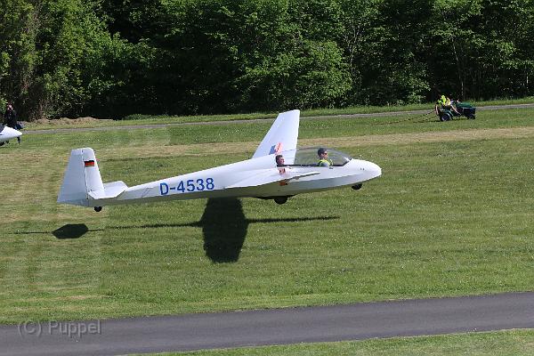 T-20150514-155523_IMG_0145-7.JPG