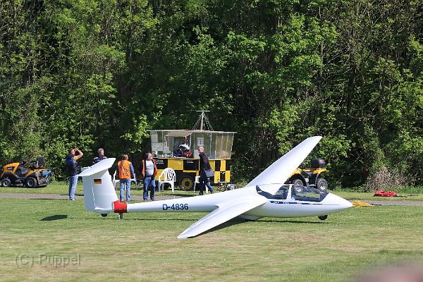 T-20150514-155834_IMG_0262-7.JPG