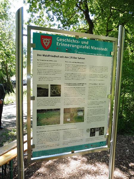 T-20150701-121842_P1080640-8.JPG