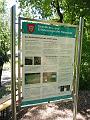T-20150701-121842_P1080640-8