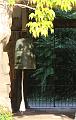 T-20150806-080529_IMG_1501-7a