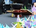 T-20150806-083126_P1020620-8aa