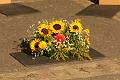 T-20150806-084536_IMG_1707-7