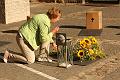 T-20150806-084814_IMG_1719-7