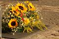 T-20150806-084816_IMG_1722-7