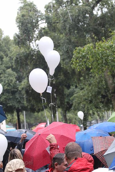 T-20150901-165004_IMG_1448-6.JPG