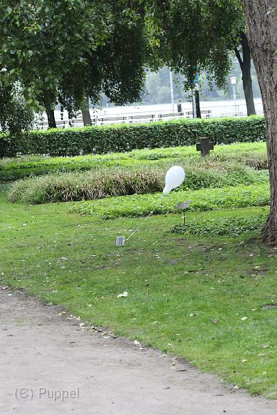 T-20150901-173326_IMG_1816-6.JPG