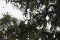 T-20150901-164948_IMG_1414-6