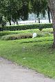 T-20150901-173326_IMG_1816-6