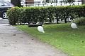 T-20150901-173334_IMG_1821-6