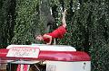 T-20150906-194535_IMG_0696-6