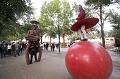 T-20150906-195041_IMG_0807-6a
