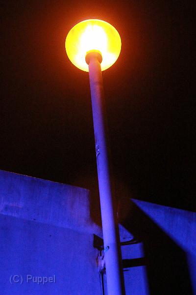 T-20150919-233303_IMG_5766-7.JPG