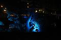 T-20150919-232941_IMG_1678-6