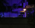 T-20150919-234831_IMG_5908-7a
