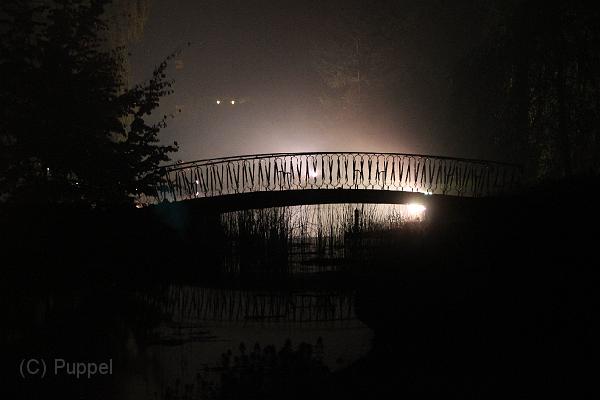 T-20151004-202522_IMG_8907-6.JPG