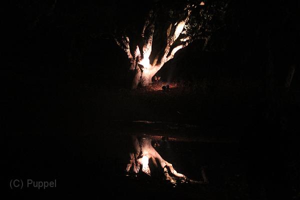 T-20151004-203340_IMG_8987-6.JPG