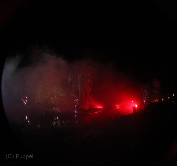 T-20151004-203827_IMG_7260-5a.jpg