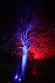 T-20151004-193201_IMG_7035-5