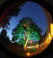 T-20151004-193550_IMG_7045-5a
