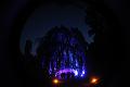 T-20151004-194738_IMG_7089-5