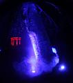 T-20151004-194847_IMG_7103-5a