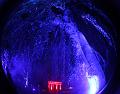 T-20151004-194908_IMG_7107-5a