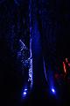 T-20151004-195046_IMG_8694-6