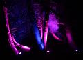 T-20151004-195722_IMG_8737-6a