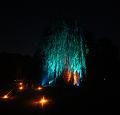 T-20151004-195908_IMG_8756-6a