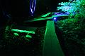 T-20151004-201356_IMG_8839-6