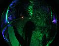 T-20151004-201436_IMG_7205-5aa
