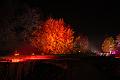 T-20151004-203730_IMG_9026-6