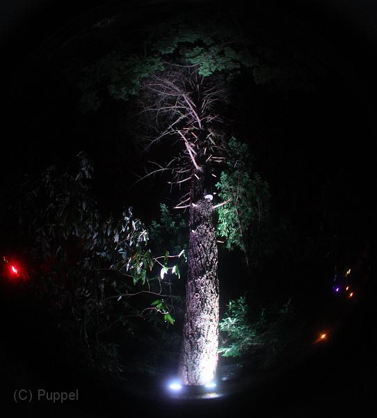 T-20151004-202136_IMG_7233-5a.jpg