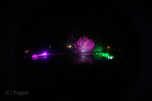 T-20151004-202257_IMG_7237-5.JPG