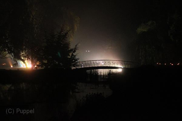 T-20151004-202530_IMG_8910-6.JPG