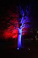 T-20151004-193122_IMG_7032-5