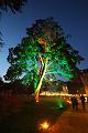 T-20151004-193700_IMG_8647-6