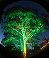 T-20151004-193806_IMG_7050-5a
