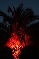 T-20151004-194102_IMG_8663-6