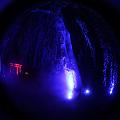 T-20151004-194831_IMG_7095-5a