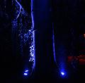 T-20151004-195042_IMG_8692-6a