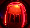T-20151004-195358_IMG_7117-5a