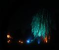 T-20151004-195945_IMG_7147-5a