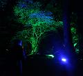 T-20151004-201316_IMG_8830-6a