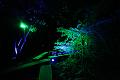 T-20151004-201350_IMG_8837-6