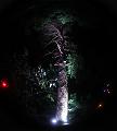 T-20151004-202136_IMG_7233-5a