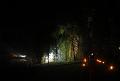 T-20151004-203416_IMG_7247-5a