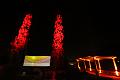 T-20151004-205030_IMG_9128-6