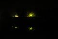 T-20151004-205554_IMG_9137-6